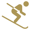 ski icon.