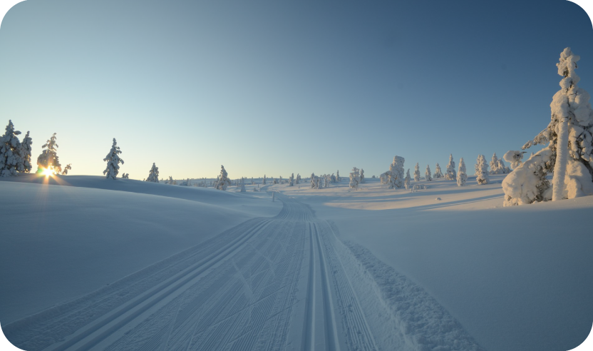 Bus to Ylläs.
